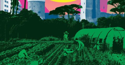 festival 48h de l'agriculture urbaine